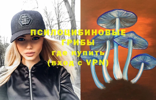соль курить ск Алексеевка