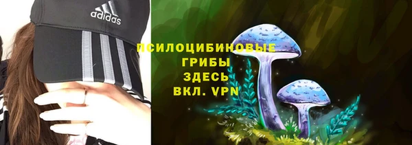 наркотики Алексин