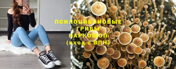 соль курить ск Алексеевка