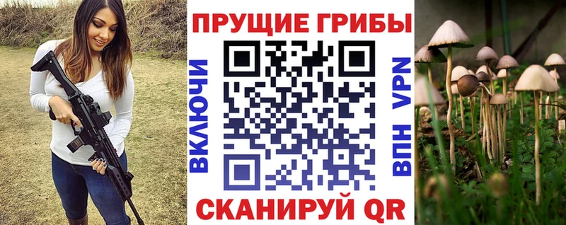 Галлюциногенные грибы GOLDEN TEACHER  наркотики  Могоча 